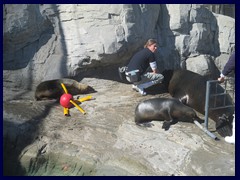 L'Oceanogràfic Oceanarium 122